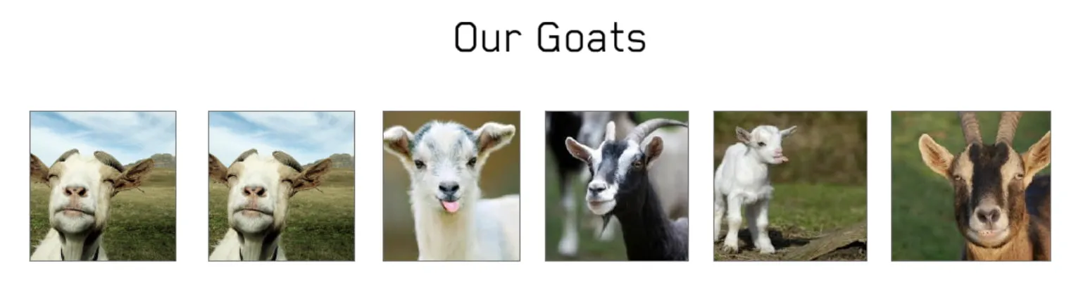 Goats
