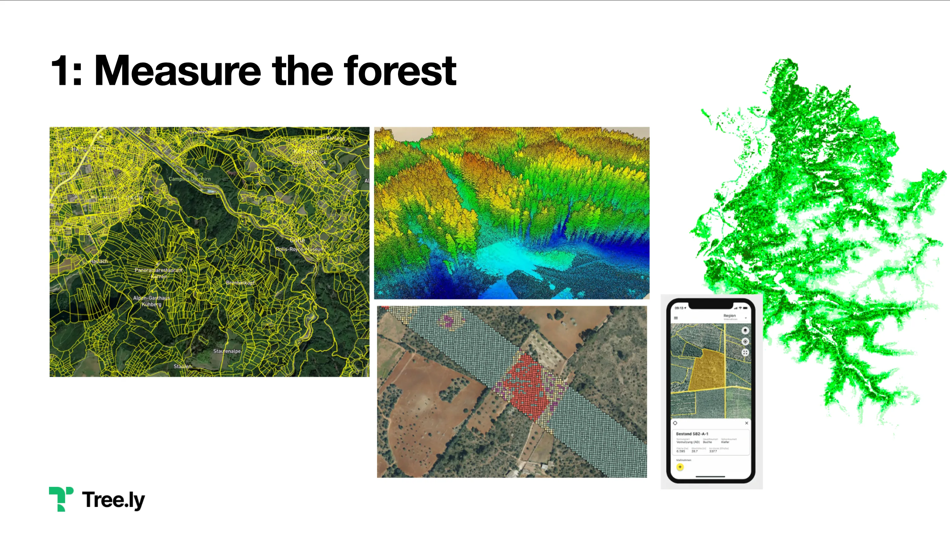 Analyzing Forests Image Credits: Tree.ly, Ocell.io, illwerkevkw, TU Vienna