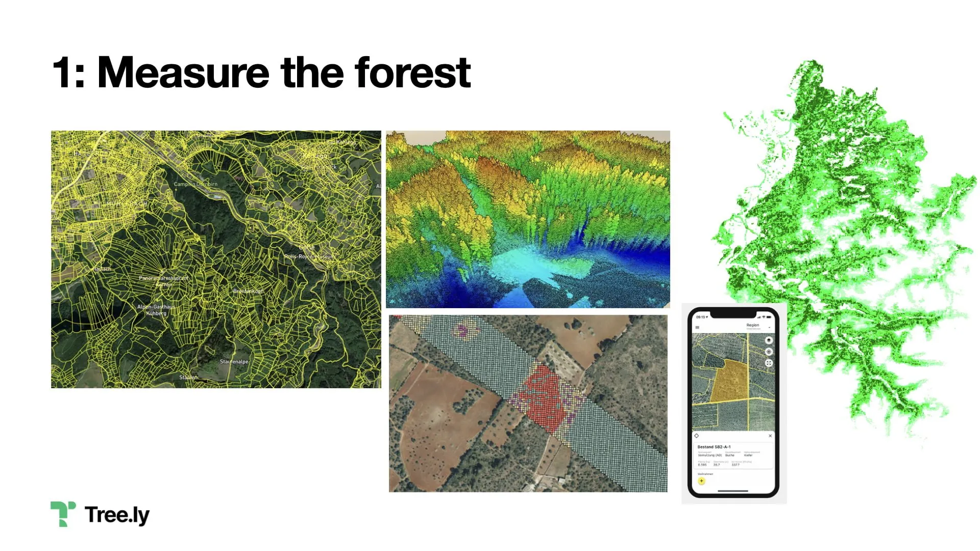 Measuring forests Image credits: Tree.ly, illwerkevkw, ocell.io, Land Vorarlberg
