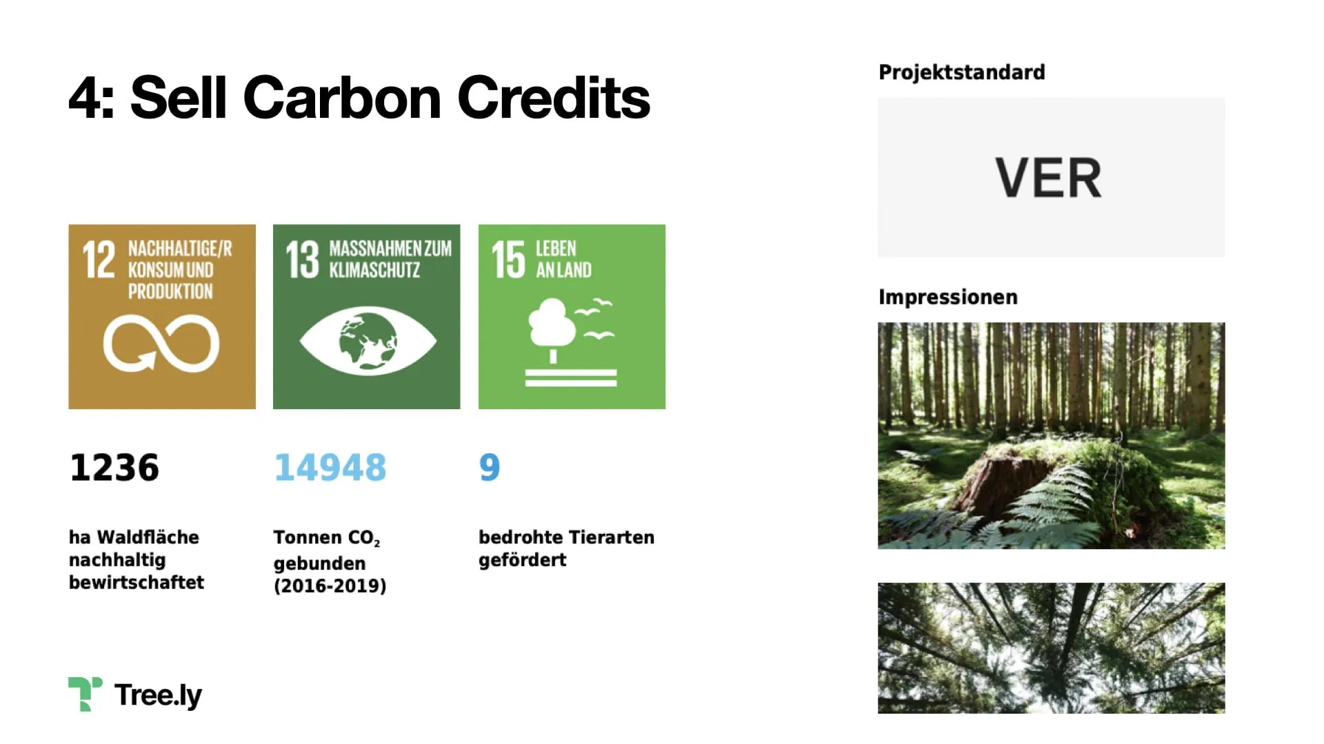 Carbon Credits and secondary benefits Image credit: myclimate