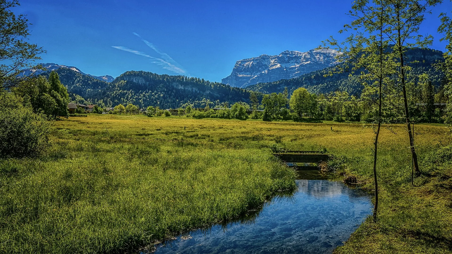 Lush mountain meadow in front of my parents house Image credit: Andreas Schlachter Photography