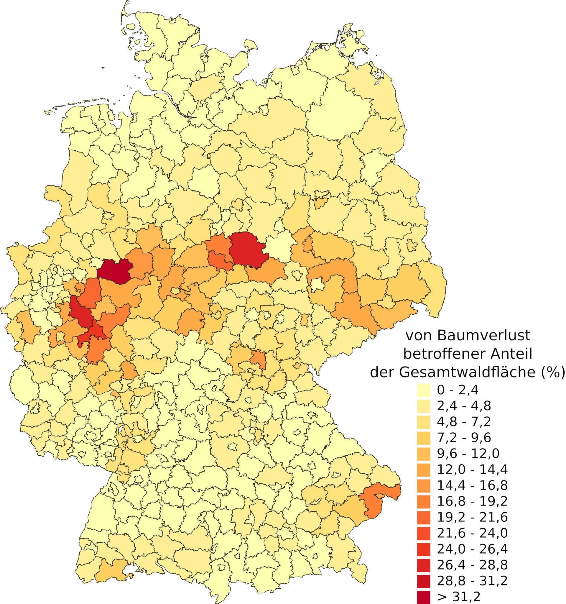 Treeloss in Germany: 5% over the past 3years. Source: Deutsches Zentrum für Luft- und Raumfahrt e. V. (DLR)
